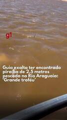 Piraíba de 2,5 metros é capturada e solta no Rio Araguaia em Goiás