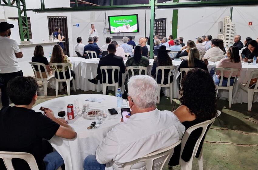 Leilão Nelore Mato Grosso é lançado e destaca a força da genética no maior rebanho bovino do Brasil