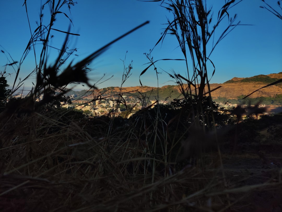 Menor escapa ileso de veículo que capotou durante perseguição policial no Arkansas
