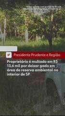  Polícia Ambiental aplica multa de R$ 13,6 mil por pastoreio irregular em reserva de Teodoro Sampaio