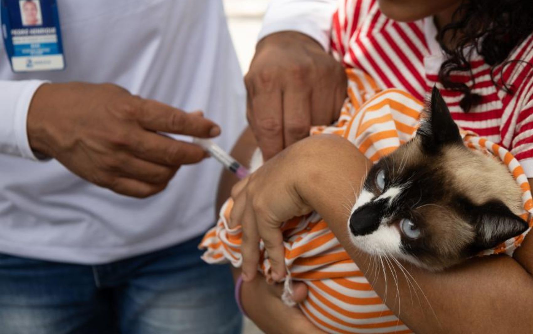 Aracaju promove imunização gratuita contra raiva para cães e gatos no Shopping RioMar