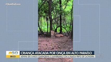 Criança de 8 anos é ferida no rosto por onça-parda em trilha na Chapada dos Veadeiros