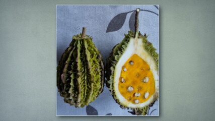 Guia da Esalq/USP oferece orientações técnicas para o cultivo de lúpulo