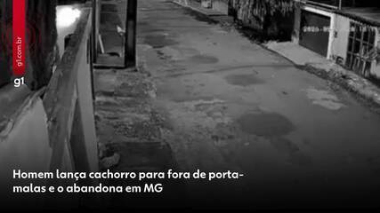 Polícia Civil indicia homem flagrado ao arremessar cachorro de porta-malas em Araxá