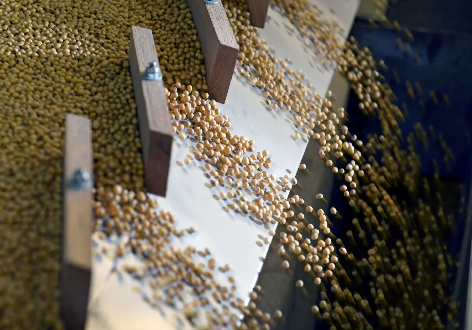 Acordo comercial: China garante importação de US$ 17 bilhões anuais em produtos agrícolas dos EUA