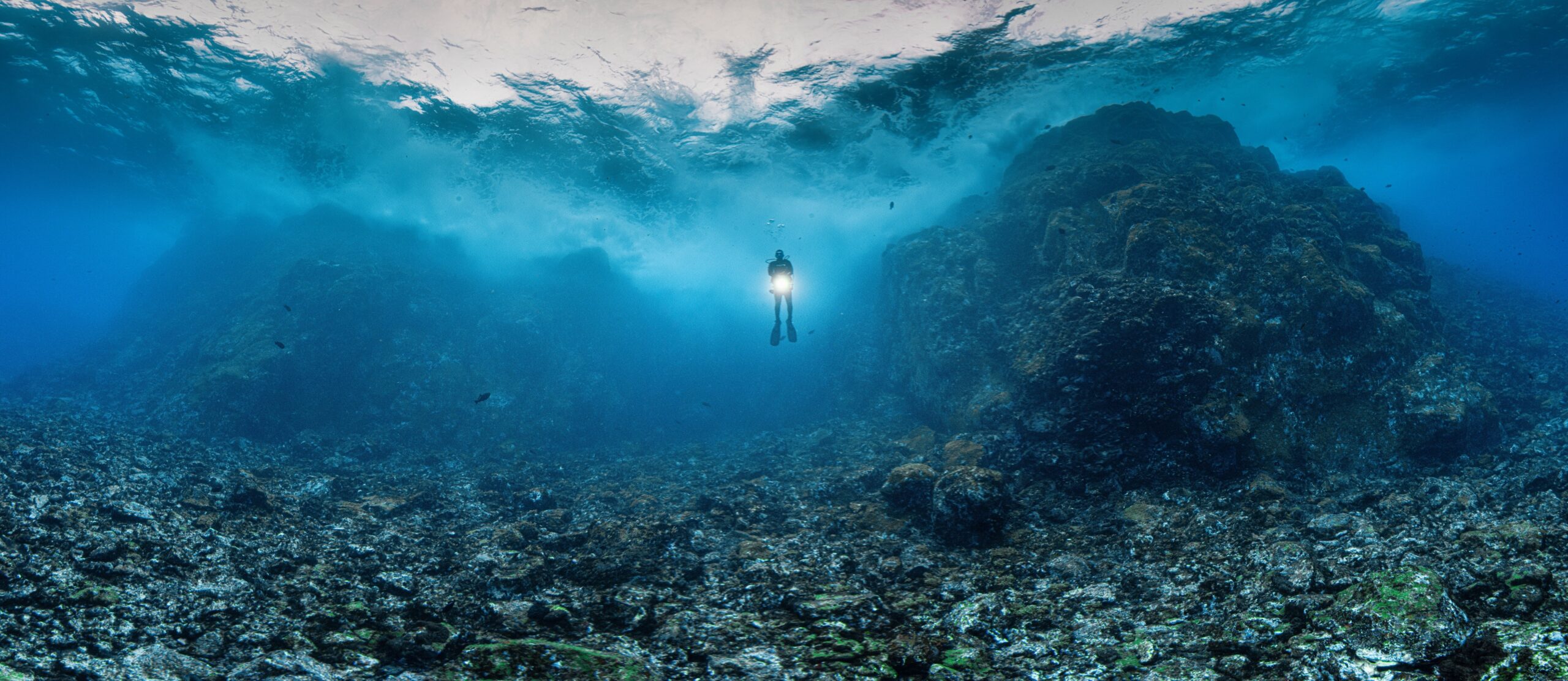 Expedição fotográfica revela paisagens subaquáticas inéditas em Fernando de Noronha