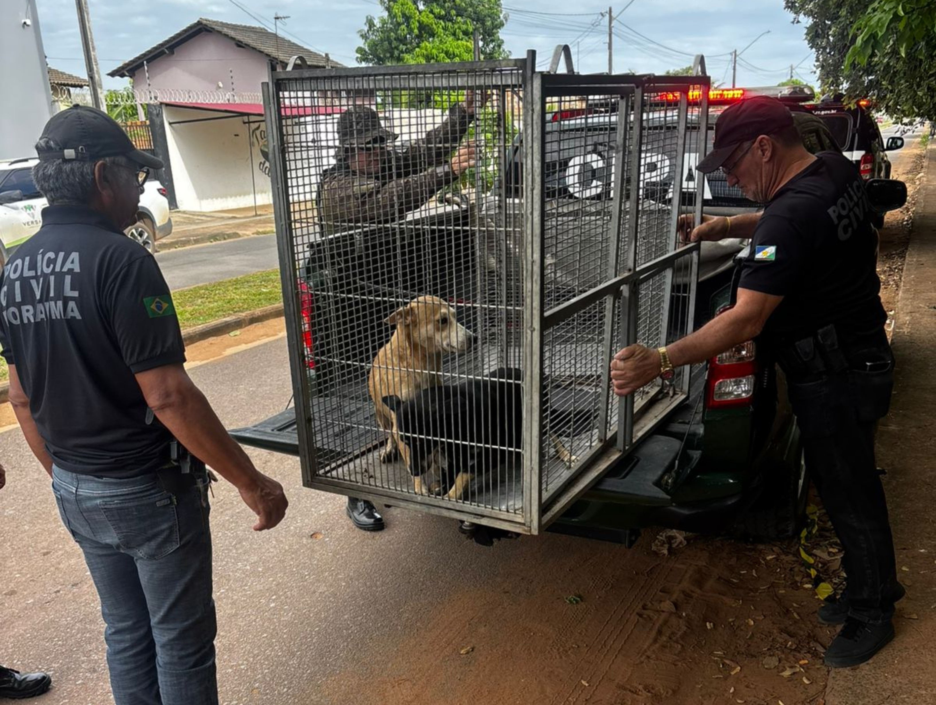Resumo Roraima: Eleição para governador e operações policiais marcam a semana