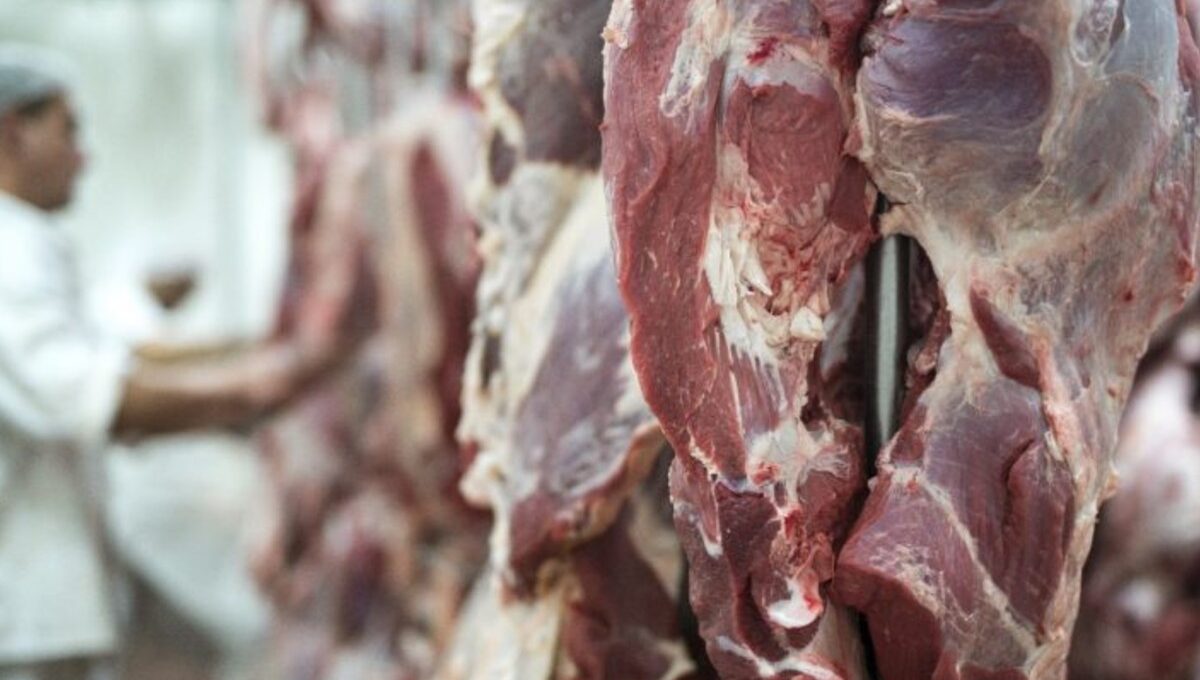 Agronegócio brasileiro atinge US$ 16,65 bilhões em exportações e bate recorde histórico em abril