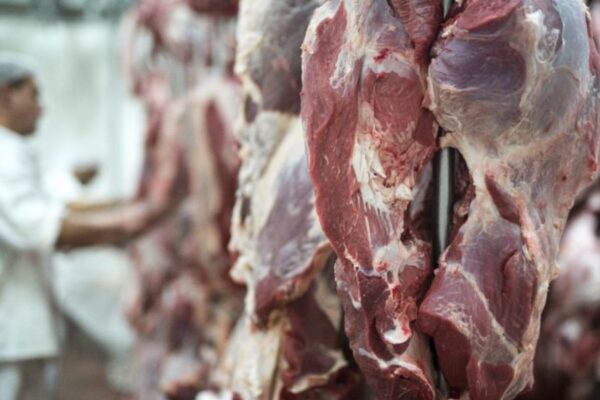 Agronegócio brasileiro atinge US$ 16,65 bilhões em exportações e bate recorde histórico em abril