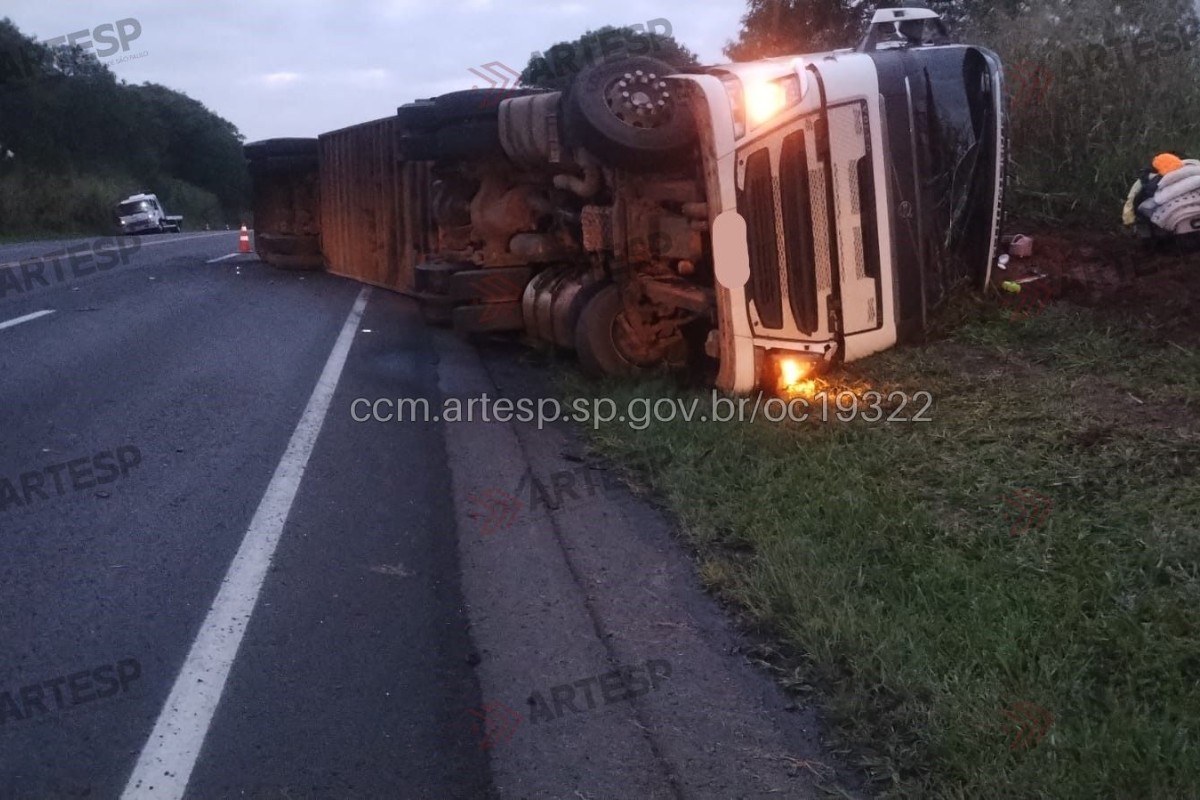 Caminhão com gado tomba na Rodovia Assis Chateaubriand após motorista dormir ao volante