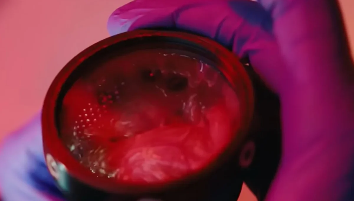 Colossal Biosciences utiliza ovos impressos em 3D para projeto de desextinção de aves