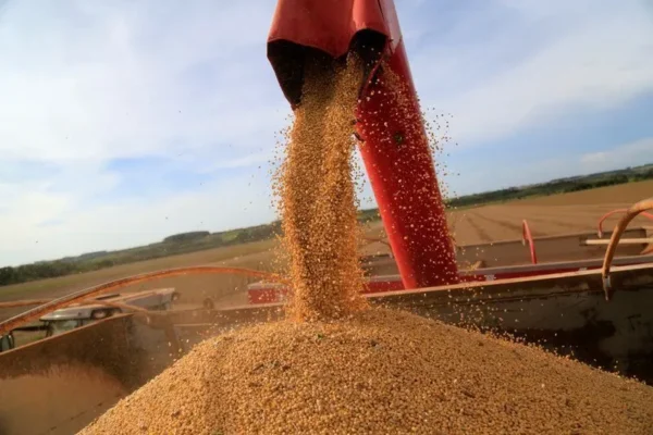 Fenômeno El Niño ameaça safra global e eleva riscos para agronegócio brasileiro