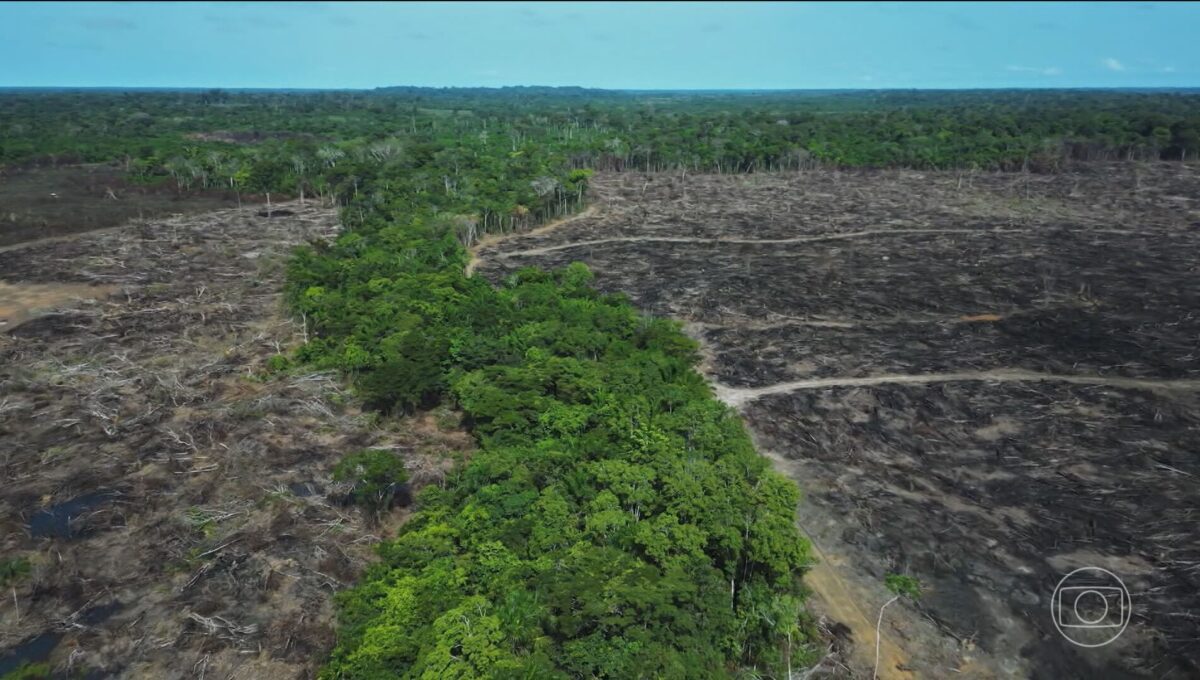 Câmara aprova medidas do 'Dia do Agro' e ambientalistas apontam retrocesso na fiscalização
