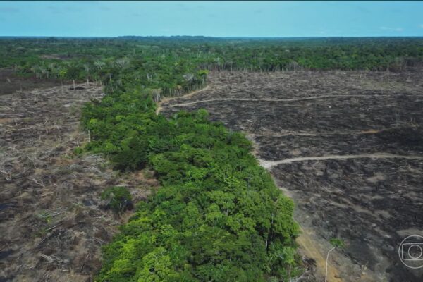 Câmara aprova medidas do 'Dia do Agro' e ambientalistas apontam retrocesso na fiscalização