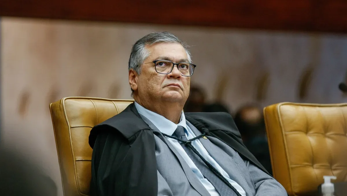 Dino afirma que 'bloco da ilegalidade' atingiu força sem precedentes no Brasil