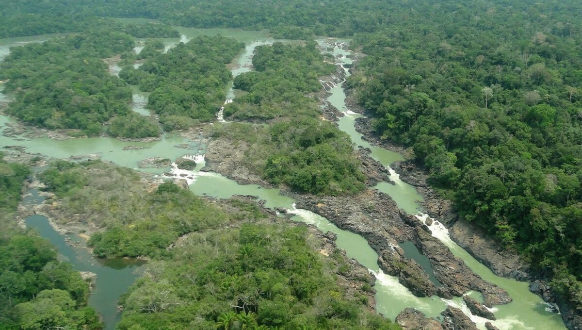 STF mantém lei que reserva área de parque nacional para projeto da Ferrogrão