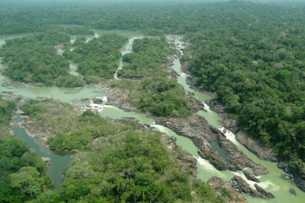 STF mantém lei que reserva área de parque nacional para projeto da Ferrogrão